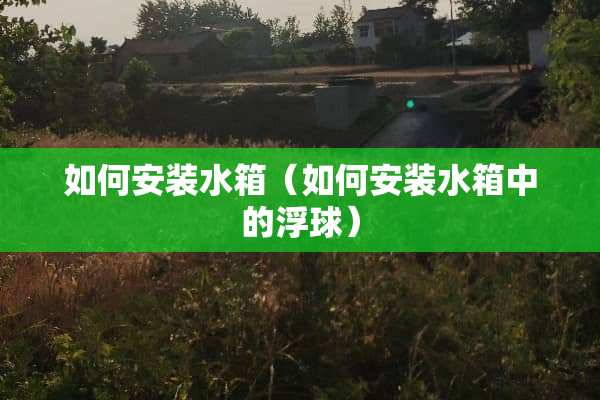 如何安装水箱（如何安装水箱中的浮球）