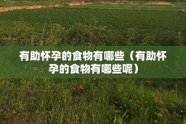 有助怀孕的食物有哪些（有助怀孕的食物有哪些呢）