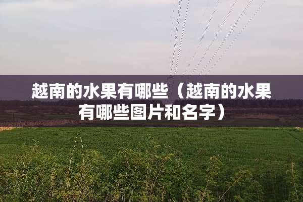 越南的水果有哪些（越南的水果有哪些图片和名字）