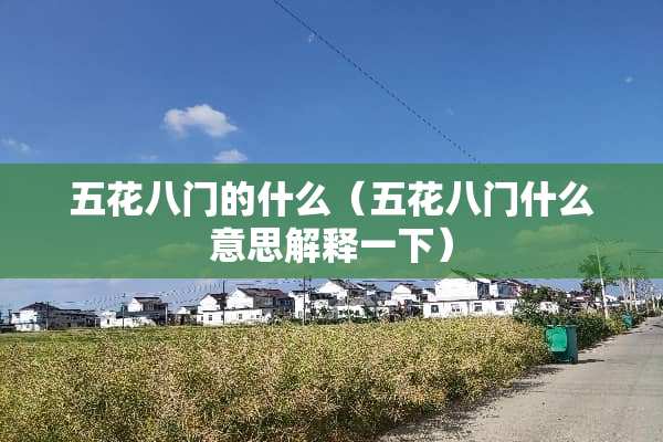 五花八门的什么（五花八门什么意思解释一下）