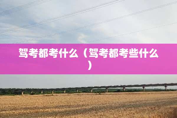 驾考都考什么（驾考都考些什么）