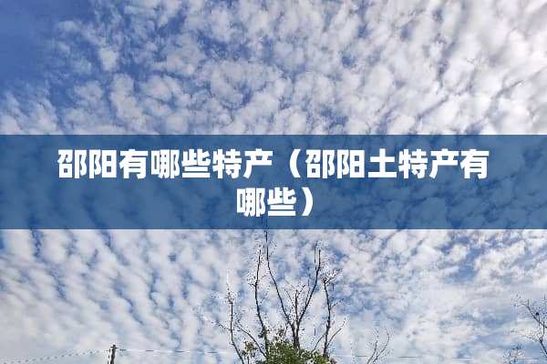 邵阳有哪些特产（邵阳土特产有哪些）