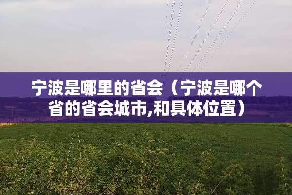 宁波是哪里的省会（宁波是哪个省的省会城市,和具体位置）