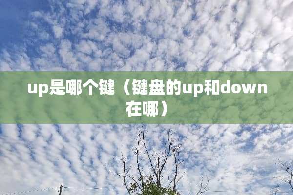 up是哪个键（键盘的up和down在哪）