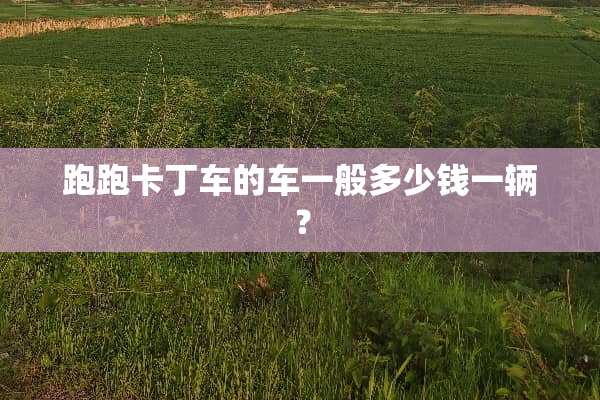 跑跑卡丁车的车一般多少钱一辆？