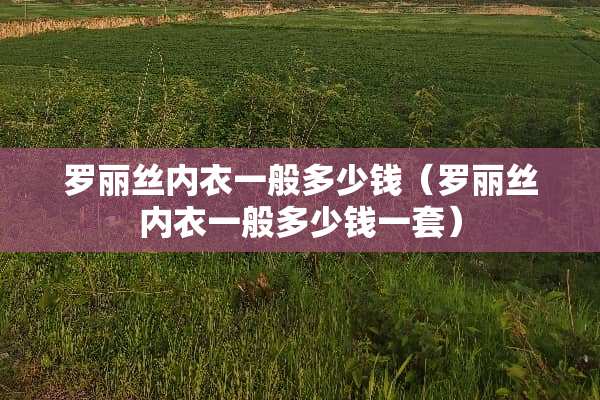 罗丽丝**一般多少钱（罗丽丝**一般多少钱一套）