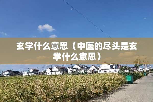 玄学什么意思（中医的尽头是玄学什么意思）