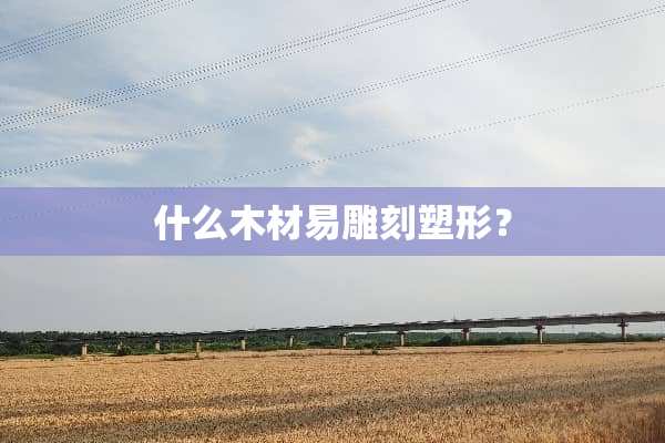 什么木材易雕刻塑形？