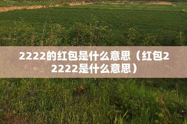 2222的红包是什么意思（红包22222是什么意思）