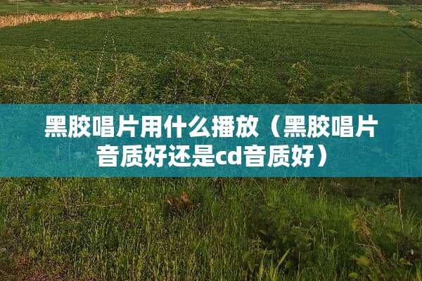 黑胶唱片用什么播放（黑胶唱片音质好还是cd音质好）