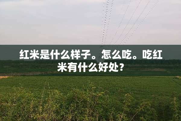 红米是什么样子。怎么吃。吃红米有什么好处？