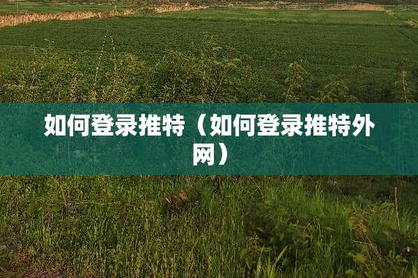 如何登录推特（如何登录推特外网）