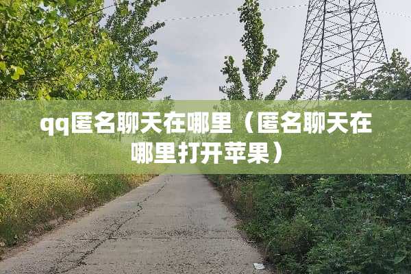 qq匿名聊天在哪里（匿名聊天在哪里打开苹果）