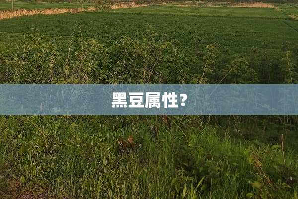 黑豆属性？