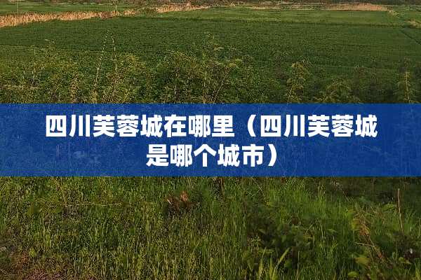 四川芙蓉城在哪里（四川芙蓉城是哪个城市）