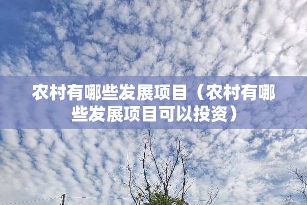 农村有哪些发展项目（农村有哪些发展项目可以投资）
