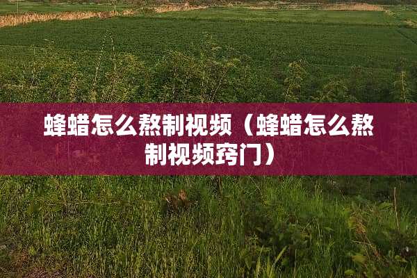 蜂蜡怎么熬制视频（蜂蜡怎么熬制视频窍门）