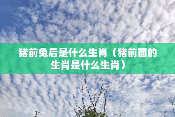 猪前兔后是什么生肖（猪前面的生肖是什么生肖）