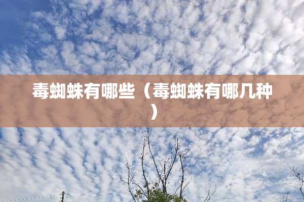 毒蜘蛛有哪些（毒蜘蛛有哪几种）
