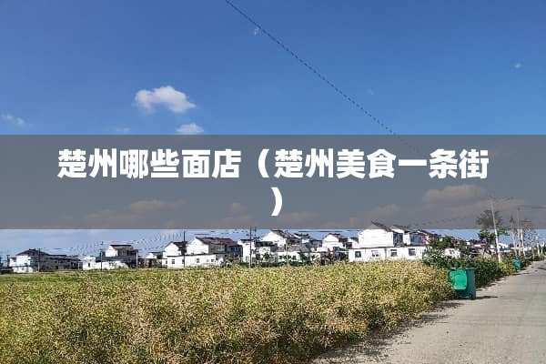 楚州哪些面店（楚州美食一条街）