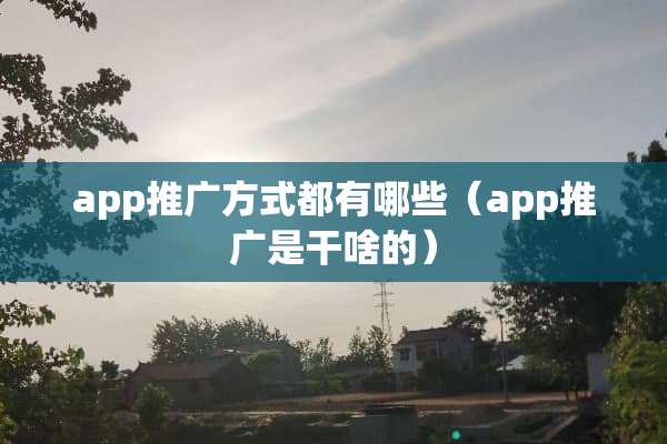 app推广方式都有哪些（app推广是干啥的）