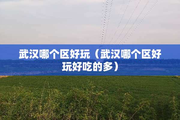 武汉哪个区好玩（武汉哪个区好玩好吃的多）