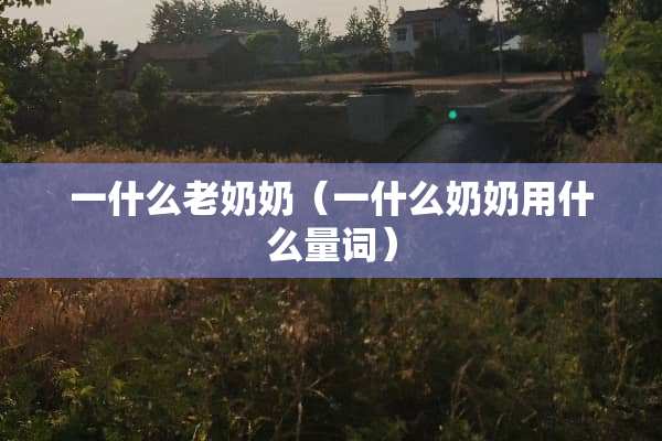 一什么老奶奶（一什么奶奶用什么量词）