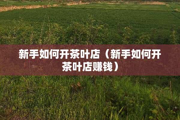 新手如何开茶叶店（新手如何开茶叶店赚钱）