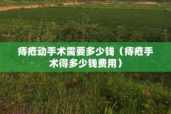 痔疮动手术需要多少钱（痔疮手术得多少钱费用）