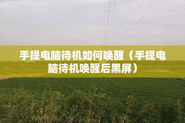 手提电脑待机如何唤醒（手提电脑待机唤醒后黑屏）
