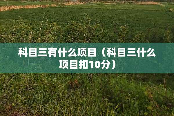 科目三有什么项目（科目三什么项目扣10分）