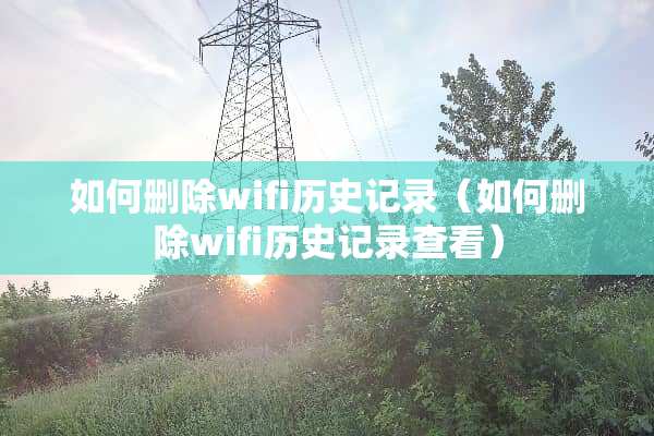 如何删除wifi历史记录（如何删除wifi历史记录查看）