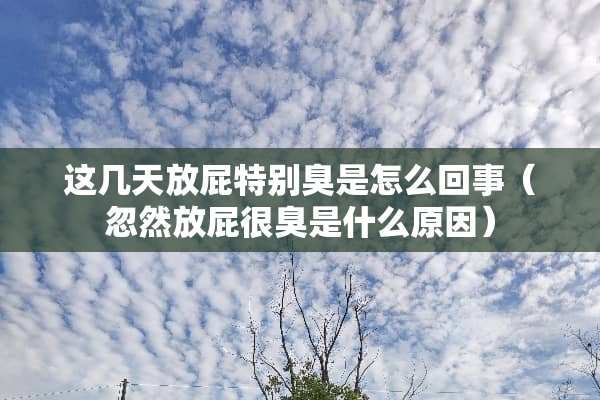 这几天放屁特别臭是怎么回事（忽然放屁很臭是什么原因）