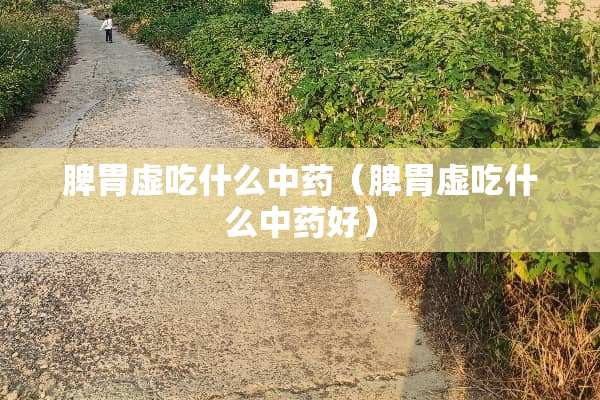 脾胃虚吃什么中药（脾胃虚吃什么中药好）