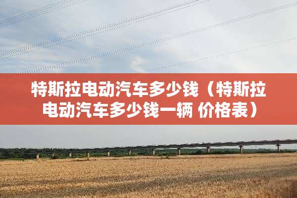 特斯拉电动汽车多少钱（特斯拉电动汽车多少钱一辆 价格表）