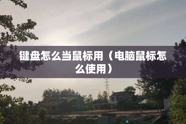 键盘怎么当鼠标用（电脑鼠标怎么使用）