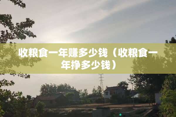 收粮食一年赚多少钱（收粮食一年挣多少钱）