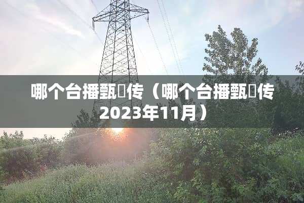 哪个台播甄嬛传（哪个台播甄嬛传2023年11月）