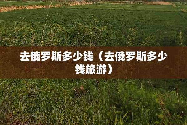 去俄罗斯多少钱（去俄罗斯多少钱旅游）