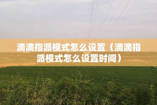 滴滴指派模式怎么设置（滴滴指派模式怎么设置时间）