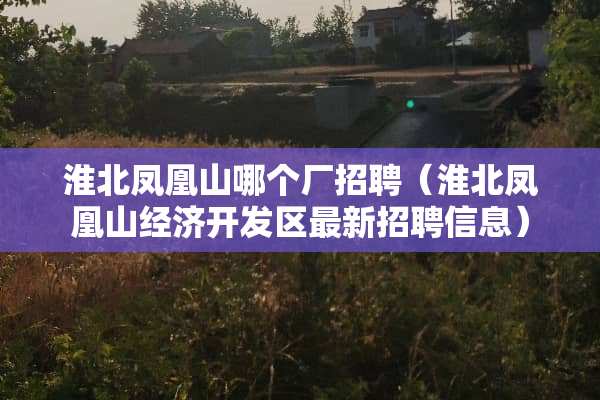 淮北凤凰山哪个厂招聘（淮北凤凰山经济开发区最新招聘信息）