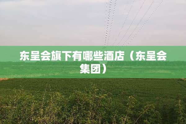 东呈会旗下有哪些酒店（东呈会集团）