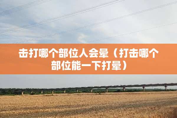 击打哪个部位人会晕（打击哪个部位能一下打晕）