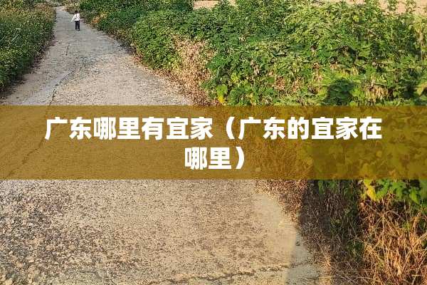 广东哪里有宜家（广东的宜家在哪里）