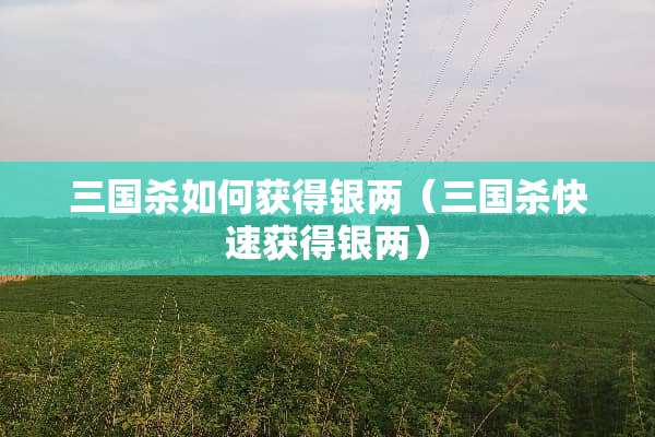 三国杀如何获得银两（三国杀快速获得银两）