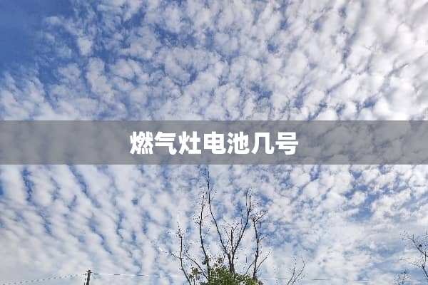 燃气灶电池几号