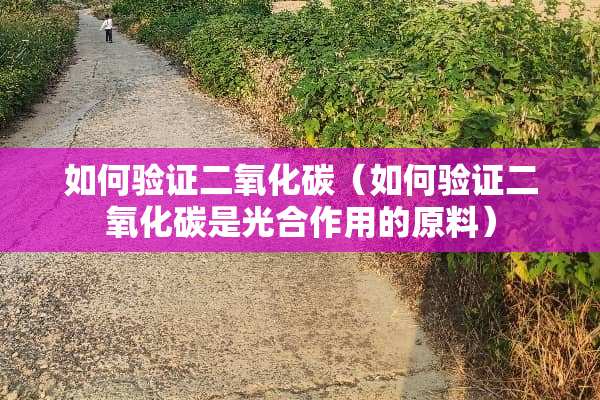 如何验证二**碳（如何验证二**碳是光合作用的原料）