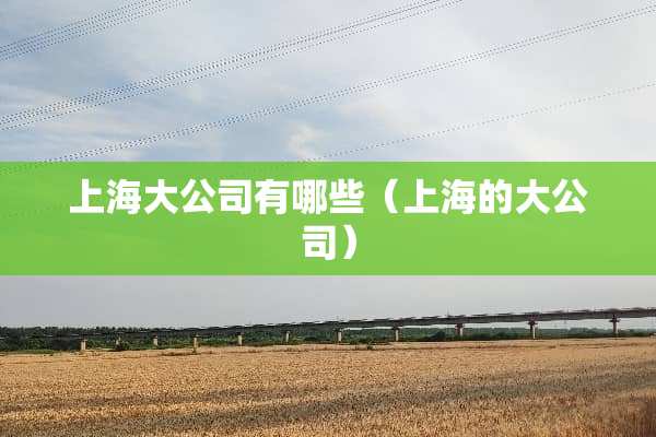 上海大公司有哪些（上海的大公司）