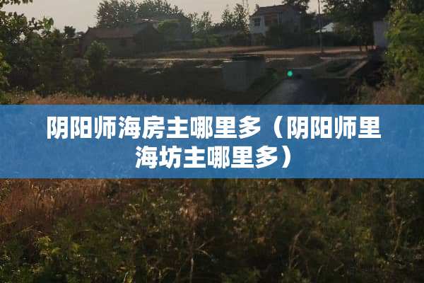 *阳师海房主哪里多（*阳师里海坊主哪里多）
