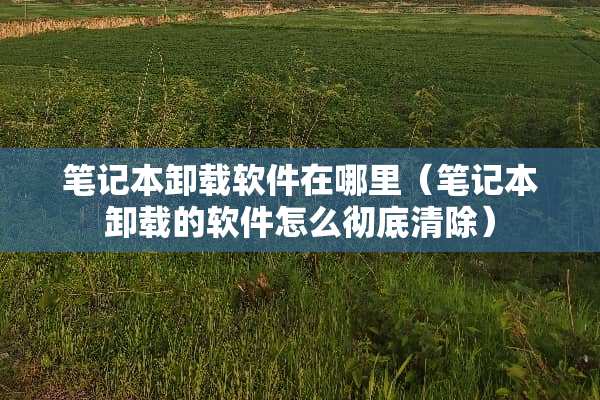 笔记本卸载软件在哪里（笔记本卸载的软件怎么彻底清除）